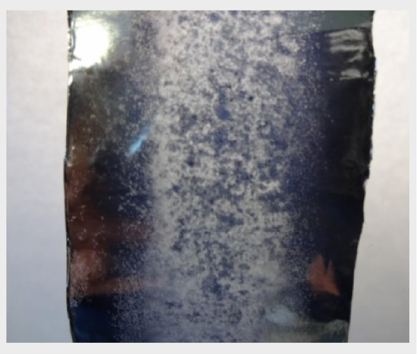 Figure 11 Corroded metalized film Figure 11 Corroded metalized film