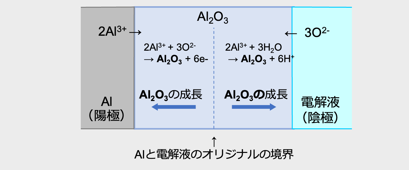 図13 化成における酸化物皮膜の成長の模式図 図13 化成における酸化物皮膜の成長の模式図