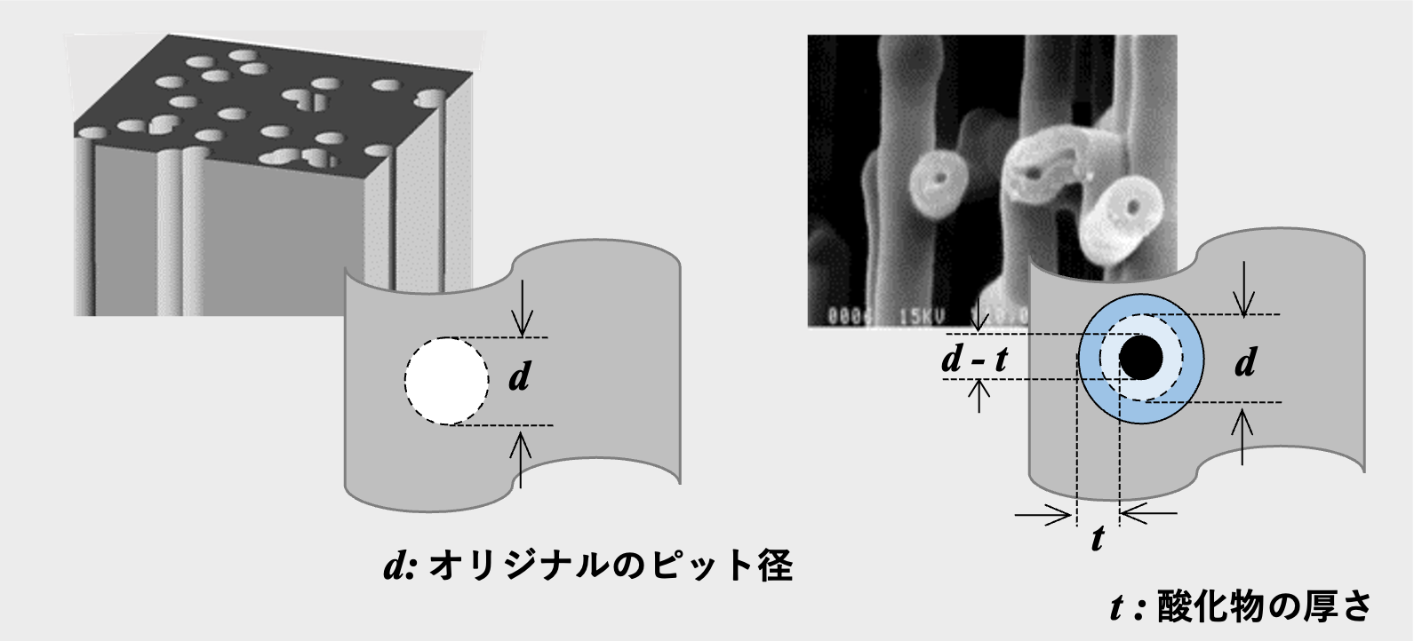 図14 アルミニウム箔のトンネル状ピットのイメージ(左)ピットに形成された酸化物のSEM像(右)酸化物によるピット径の減少のイメージ 図14 アルミニウム箔のトンネル状ピットのイメージ(左)ピットに形成された酸化物のSEM像(右)酸化物によるピット径の減少のイメージ